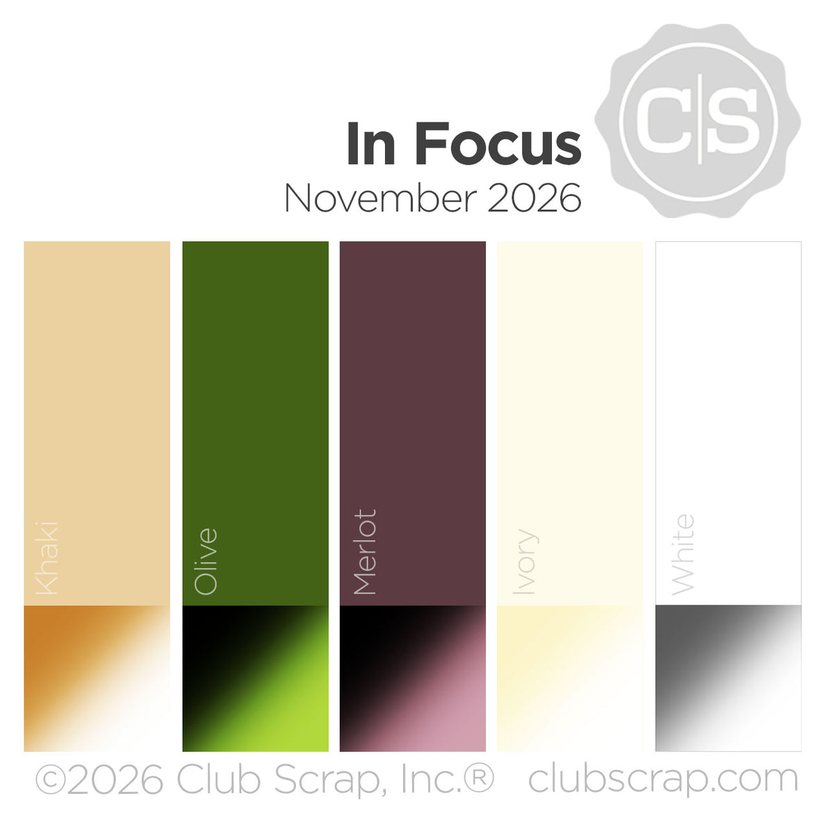 In Focus 12x12 Assorted Paper Pack