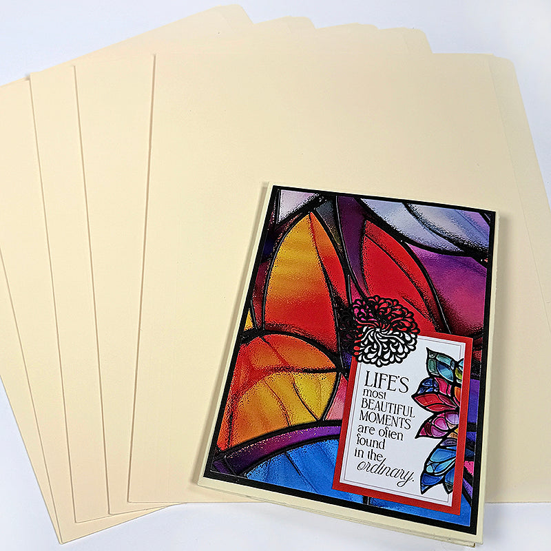 5 pack Straight Cut File Folders