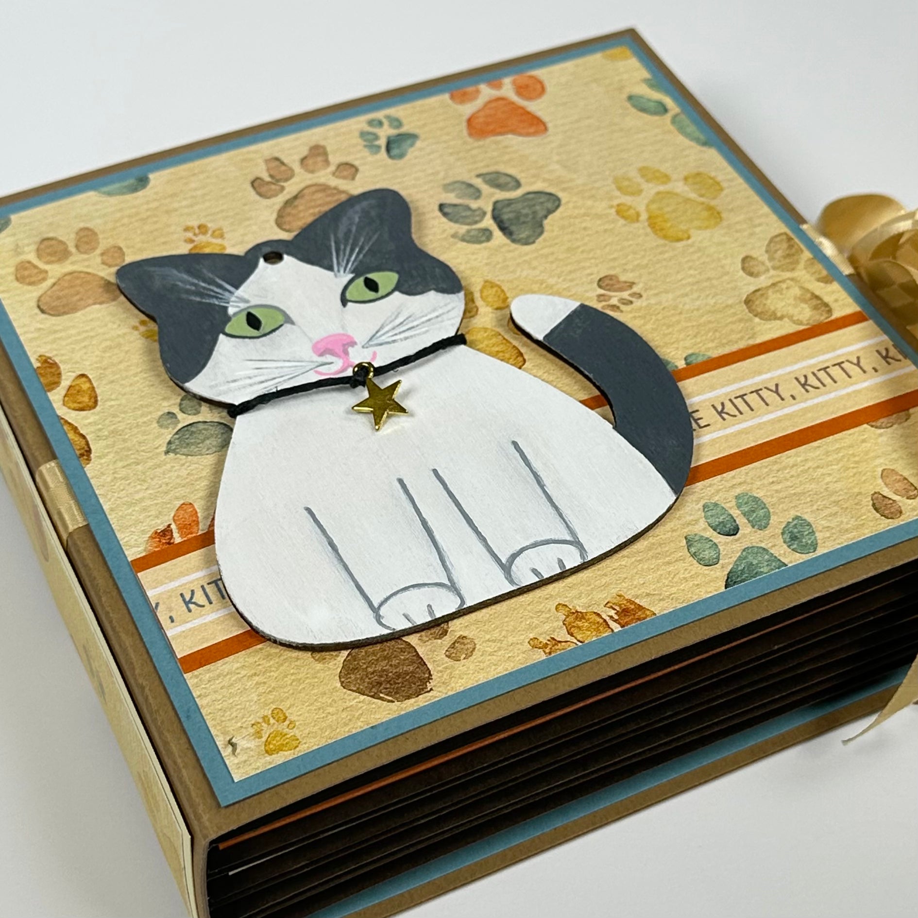 MEMBER Album Online Class