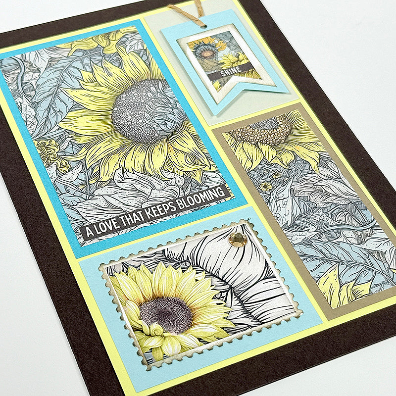 Sunny Fields 12x12 Bonus Text Weight Print