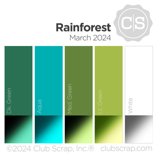 Rainforest 12x12 Plain Paper
