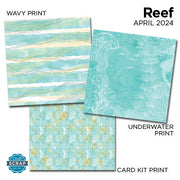 Reef 12x12 Prints