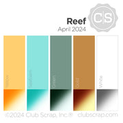 Reef 12x12 Plain Paper
