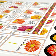 Bright Blooms Card Cutaparts