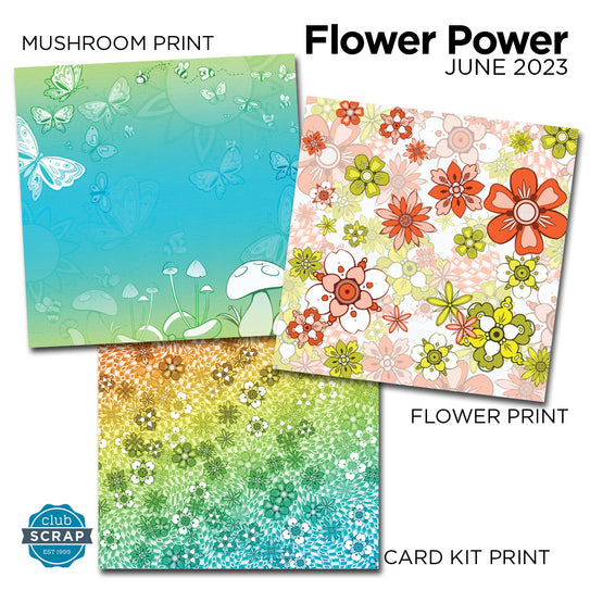 Flower Power 12x12 Prints